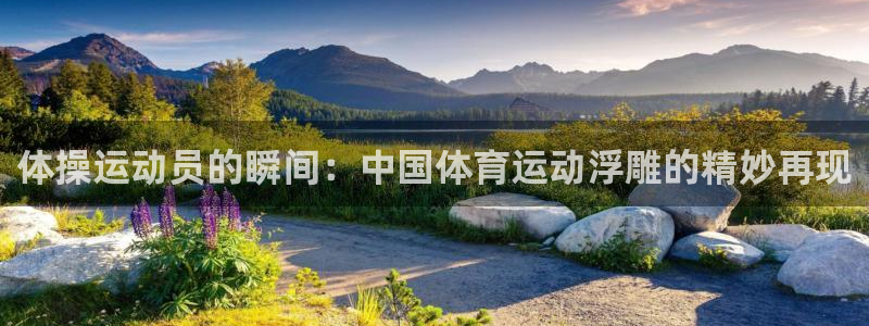 球皇直播NBA：体操运动员的瞬间：中国体育运动浮雕的精妙再现