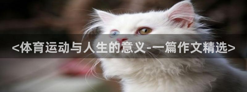 球皇看球APP：<体育运动与人生的意义-一篇作文精选>