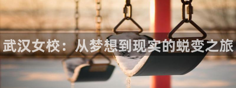 球皇看球软件app：武汉女校：从梦想到现实的蜕变之旅
