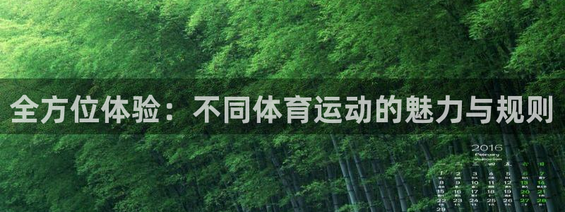 球皇看球app官网：全方位体验：不同体育运动的魅力与规则