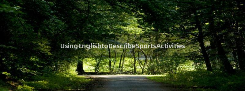 球皇直播cctv5：UsingEnglishtoDescribeSportsActivities