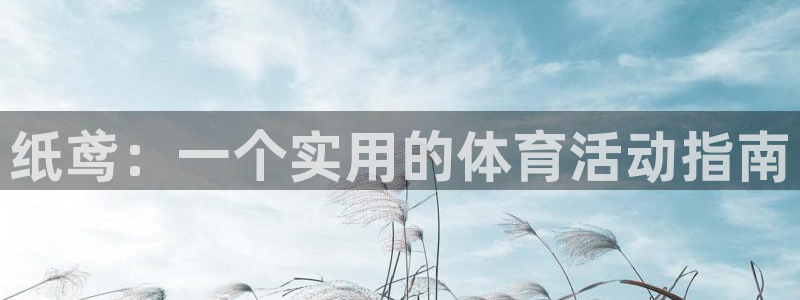球皇社是正规软件吗：纸鸢：一个实用的体育活动指南